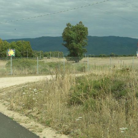 Tra Mare E Monti Apartman Santa Giusta Kültér fotó