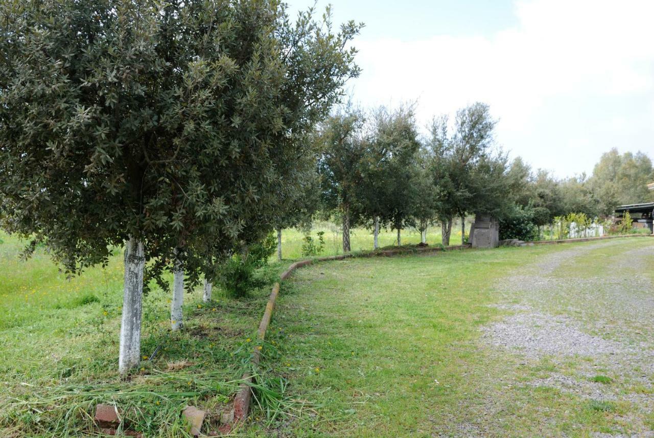 Tra Mare E Monti Apartman Santa Giusta Kültér fotó