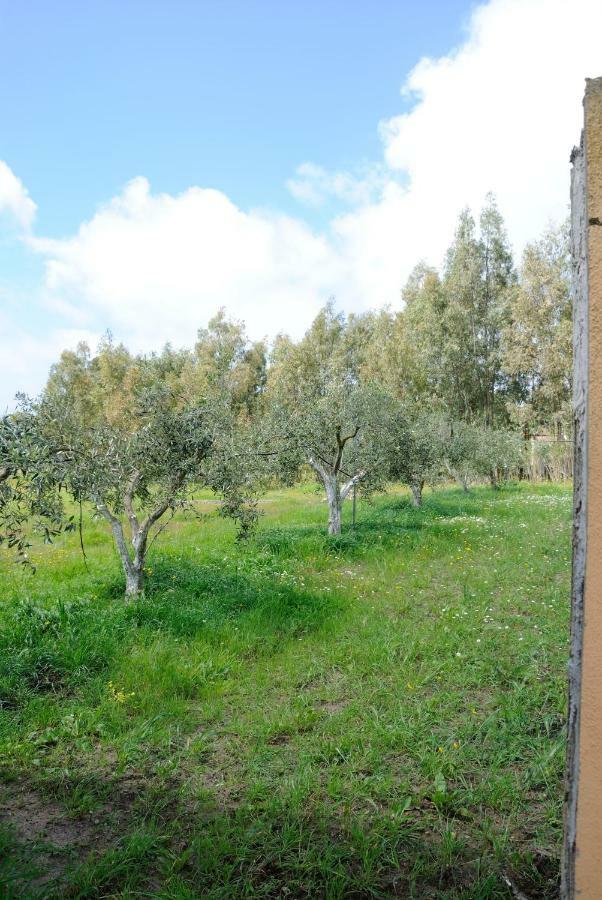 Tra Mare E Monti Apartman Santa Giusta Kültér fotó