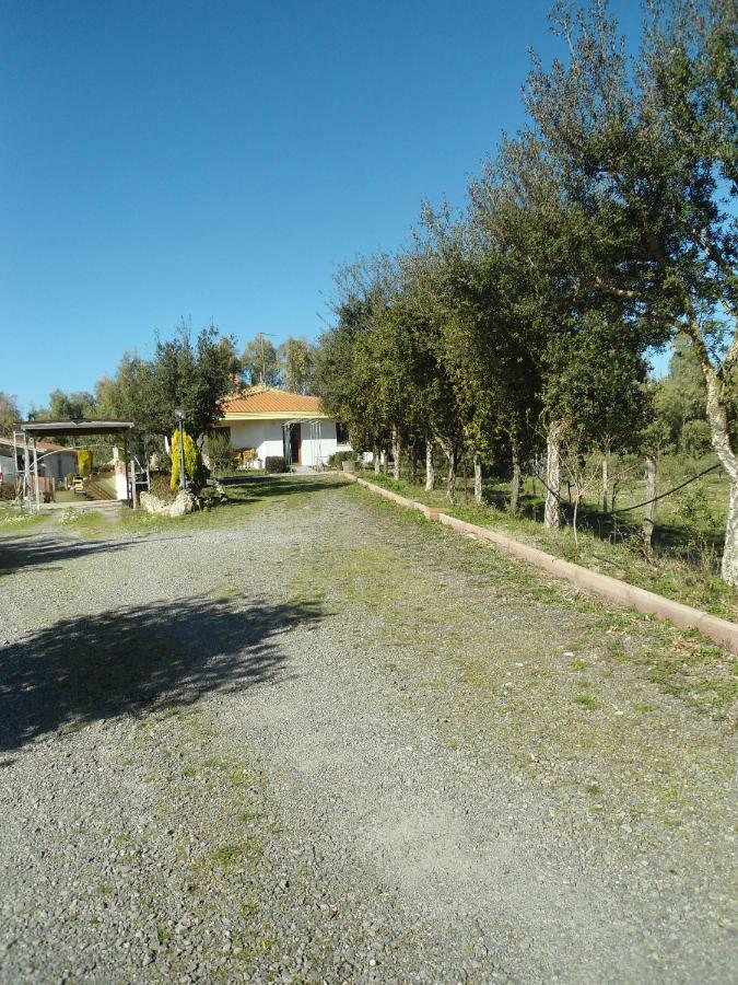 Tra Mare E Monti Apartman Santa Giusta Kültér fotó