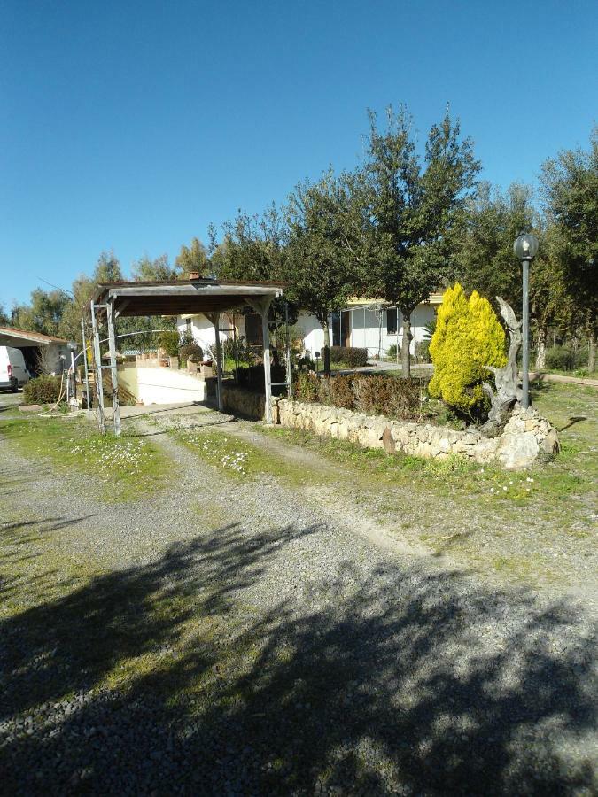 Tra Mare E Monti Apartman Santa Giusta Kültér fotó